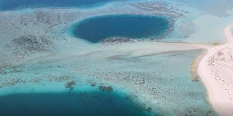 Ditemukan Lubang Biru langka di Perairan Wilayah al-Dhafra Abu Dhabi