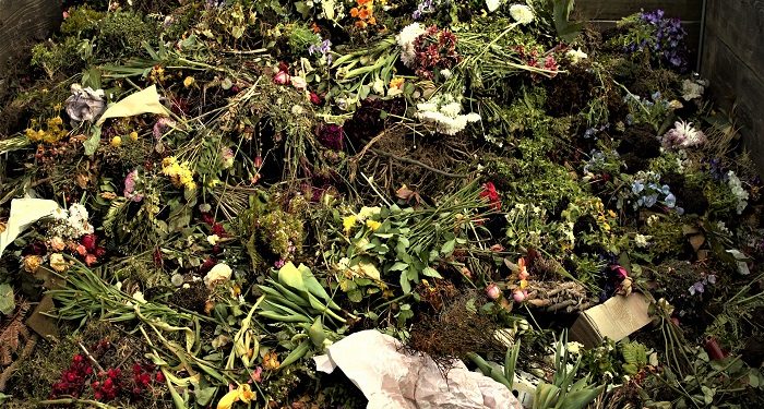 Bahayanya Minum Ecoenzyme, Ini Penjelasan Pakar