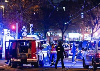 Pengungsi Muslim Dipuji karena Lumpuhkan Penyerang Pisau di Wina