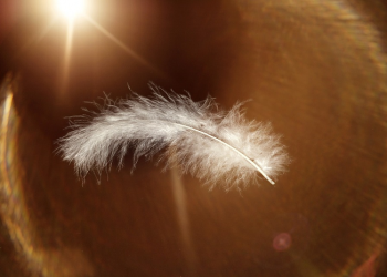 Kesulitan dan Kemudahan datang Bersamaan