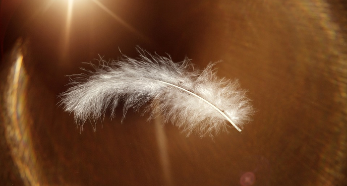 Kesulitan dan Kemudahan datang Bersamaan