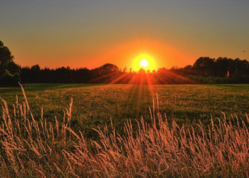 Memudahkan Orang lain ketika Mereka Menghadapi Sakaratul Maut