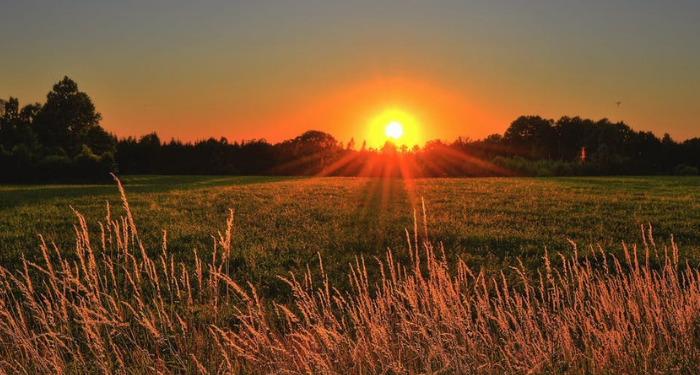 Memudahkan Orang lain ketika Mereka Menghadapi Sakaratul Maut