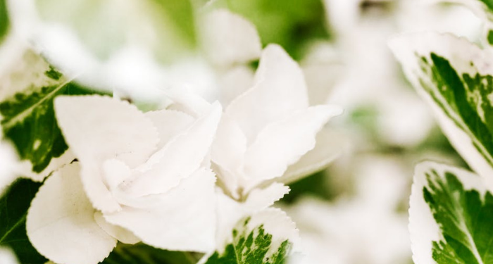 Orang yang Terbaik itu Diharapkan Kebaikannya