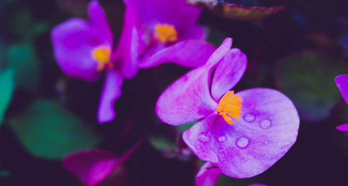 Tafsir Surat Al-Baqarah Ayat 12