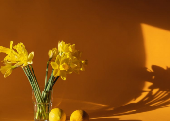 Hati-hati Gangguan Kepribadian Narsistik, Kenali Tanda-tandanya