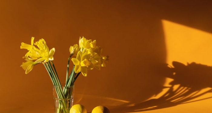 Hati-hati Gangguan Kepribadian Narsistik, Kenali Tanda-tandanya