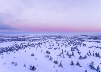 Palestina Masuki Musim Dingin, ini yang Bisa Kita Lakukan