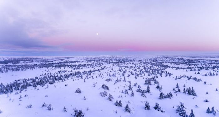 Palestina Masuki Musim Dingin, ini yang Bisa Kita Lakukan