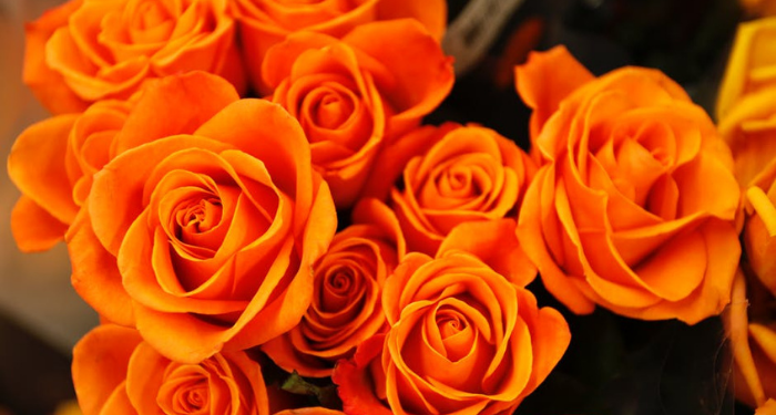 Sulaiman bin Abdul Malik, Khalifah yang Memerintahkan Rakyatnya Shalat Tepat Waktu