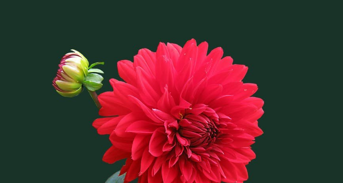 Mengambil Inspirasi dari Nabi Ibrahim