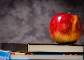 Pendidikan pada Masa Sultan Abdul Hamid II