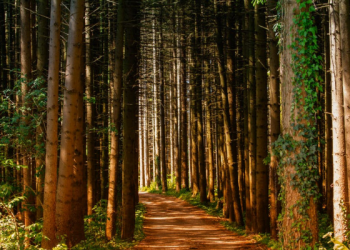 Surat Al-Baqarah Ayat 16, Mereka Membeli Kesesatan dengan Petunjuk