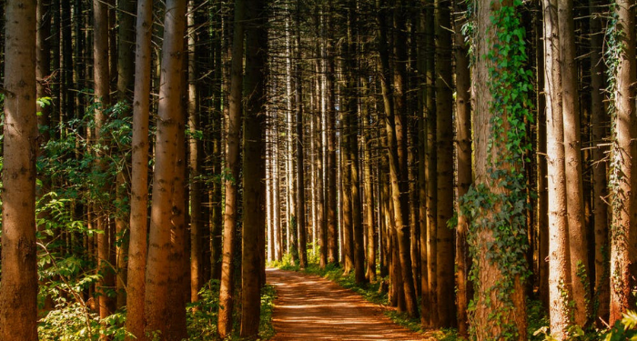 Surat Al-Baqarah Ayat 16, Mereka Membeli Kesesatan dengan Petunjuk