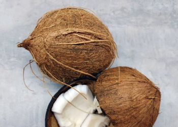 Tim KKN Abmas ITS Gunakan Arang Batok Kelapa untuk Perbaiki Kualitas Air