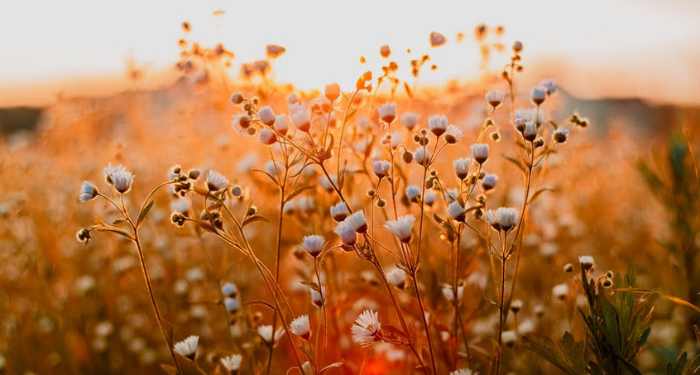 Pesan untuk Para Pejuang Kebenaran dari Kisah Nabi Musa dan Harun