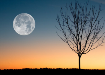 Diameter Bulan Selalu Sama