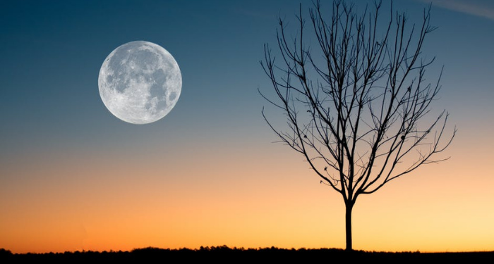 Diameter Bulan Selalu Sama