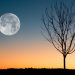 Diameter Bulan Selalu Sama