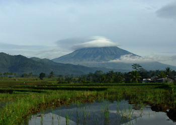 Masih Sedikit Informasi, Empat Mahasiswa UGM Bikin Peta Jalur Pendakian Gunung Sumbing