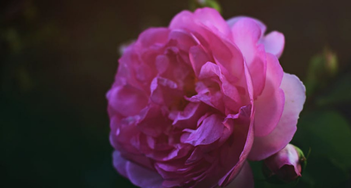 Jangan jadi Orang yang Tidak Tahu Berterima Kasih