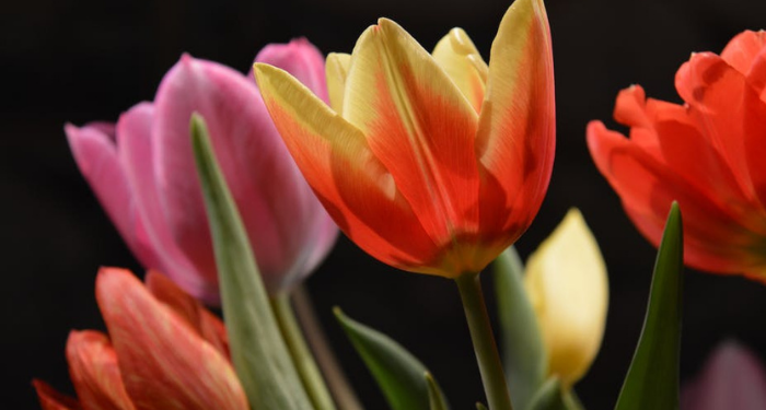 Arti Thulul Amal dan Mengapa Harus Dihindari