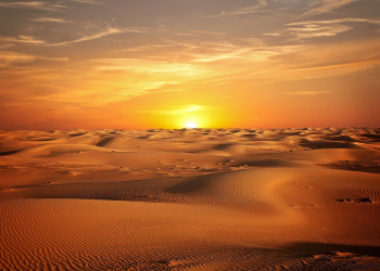 Dakwah dengan Lisan, Wasiat kepada Abu Dzar dari Rasul