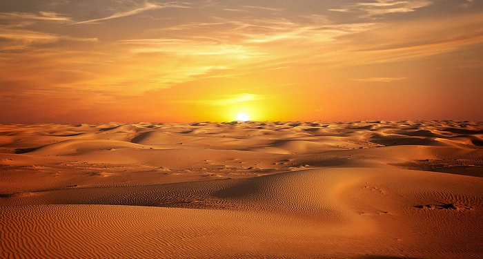 Dakwah dengan Lisan, Wasiat kepada Abu Dzar dari Rasul