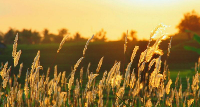 Salamah bin Al-Akwa, Pasukan Jalan Kaki Terbaik