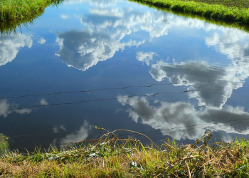 Pahlawan dari Persi dan Strategi Perangnya (2)