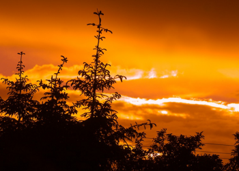 Kegigihan Abu Dzar Melawan Kebathilan