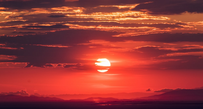 Salamah bin Al-Akwa, Hindari Perang Saudara