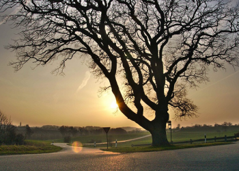 Kisah Masuk Islamnya Zaid Al-Khair (2)