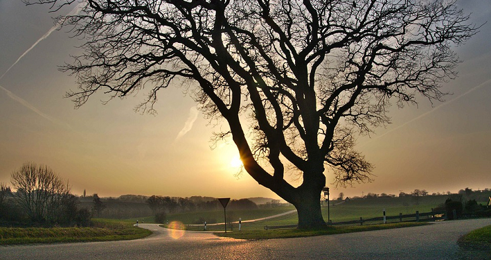 Kisah Masuk Islamnya Zaid Al-Khair (2)