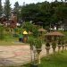 wisata taman