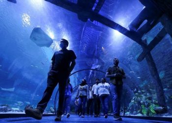 Akuarium Terbesar di Timur Tengah Resmi Dibuka di Abu Dhabi