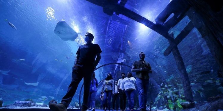 Akuarium Terbesar di Timur Tengah Resmi Dibuka di Abu Dhabi