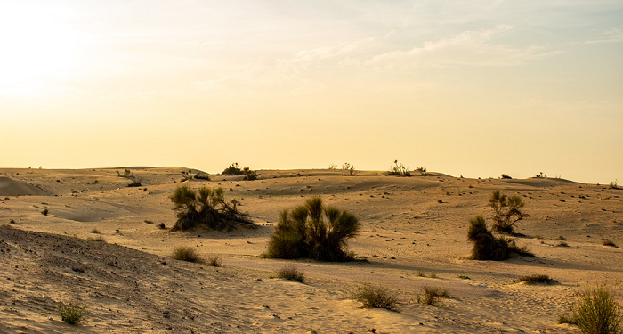 Abu Dzar, Lelaki dari Ghifar yang Melakukan Perjalanan Panjang