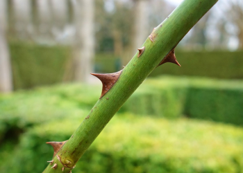 Jangan Menyakiti Jika Tidak Ingin Disakiti
