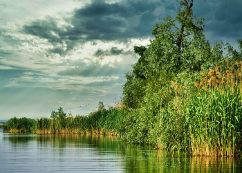 Jangan Rusak Ekosistem