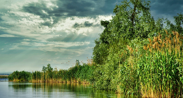 Jangan Rusak Ekosistem