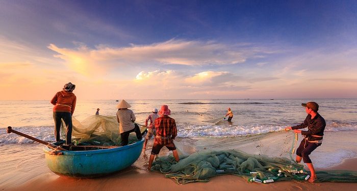 Perluas Jangkauan Hingga Sektor Perikanan, TaniFund Gandeng eFishery