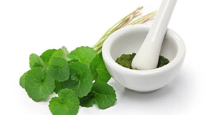 Manfaat Daun Pegagan untuk Kecantikan