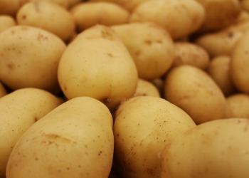 Efektivitas MPASI 4 Bintang