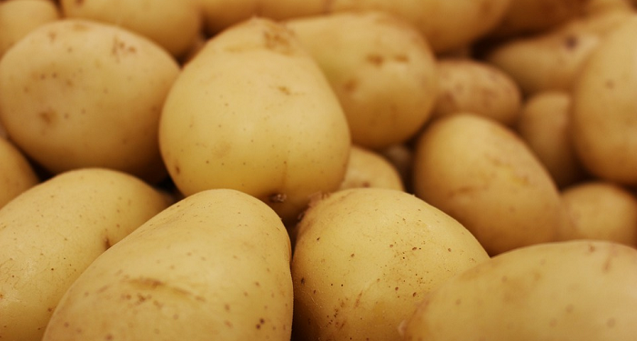 Efektivitas MPASI 4 Bintang