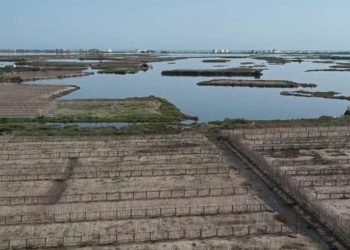 Petani Laguna Tunisia harus Bertahan Saat Permukaan Laut Naik