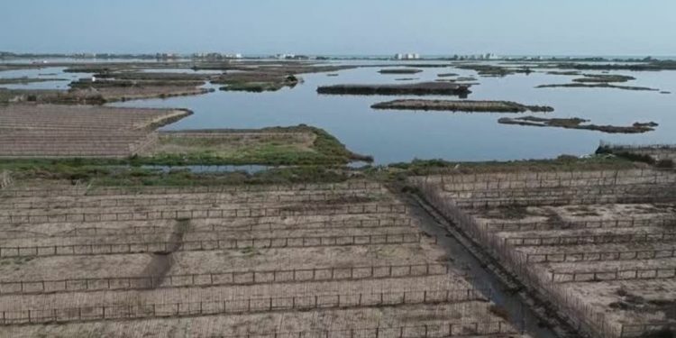 Petani Laguna Tunisia harus Bertahan Saat Permukaan Laut Naik