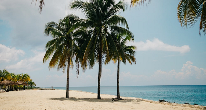 Membangun Kedewasaan Sebelum Berumah Tangga