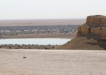 Wadi Al-Assiut, Cagar Alam Mesir yang Terabaikan
