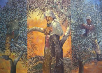 Bagaimana Pohon Zaitun Melambangkan Identitas Nasional Palestina